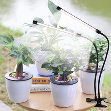 Load image into Gallery viewer, LED Grow Light 6000K Full Spectrum Clip Plant Growing Lamp
