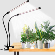 Load image into Gallery viewer, LED Grow Light 6000K Full Spectrum Clip Plant Growing Lamp
